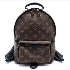 Louis Vuitton Palm Springs Backpack PM Monogram